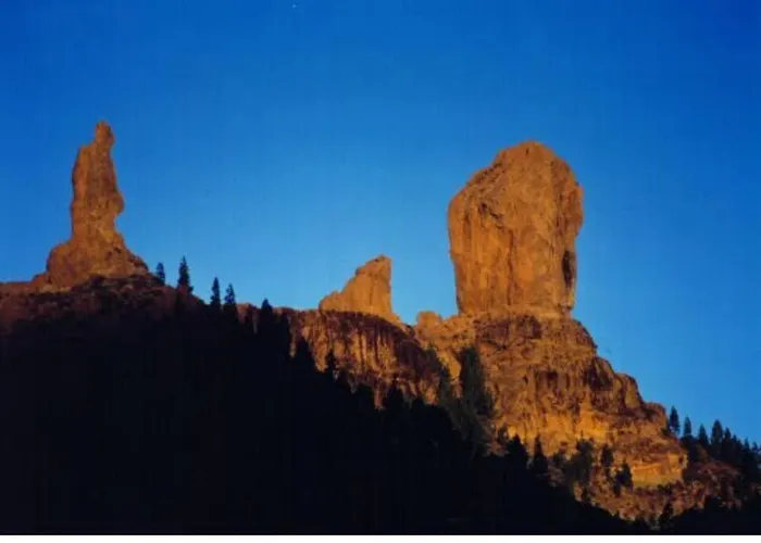 Precioso 1 By Casas Cocodrilo *