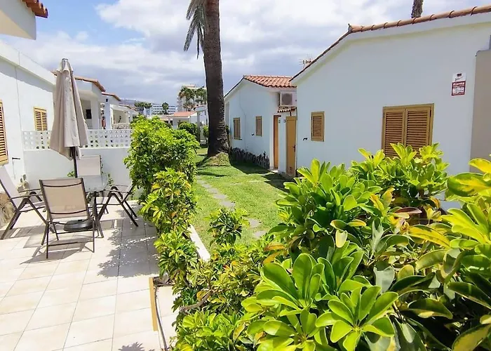 Precioso 1 By Casas Cocodrilo Daire *