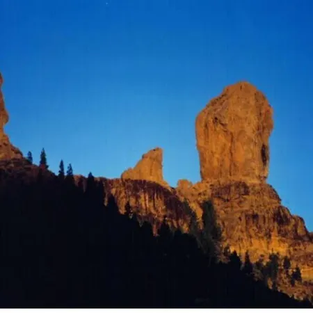 Precioso 1 By Casas Cocodrilo *